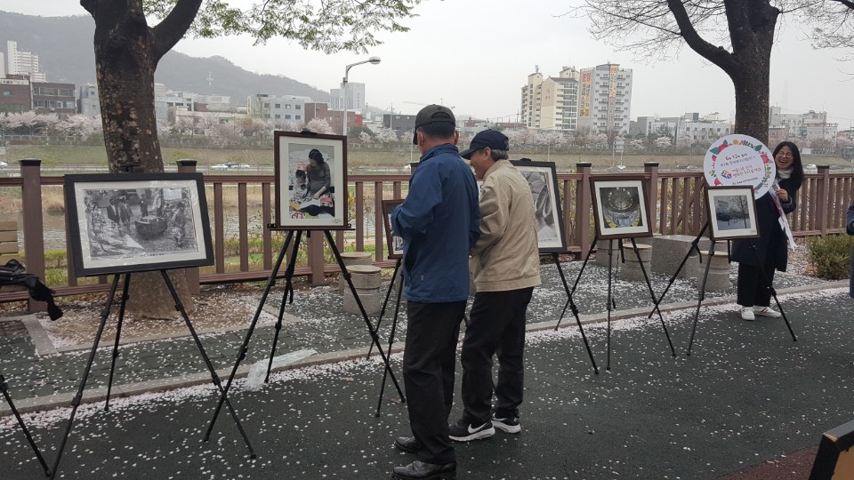 동대문선거관리위원회는 2018. 4. 6.(금) 14:00 동대문 봄꽃축제가 개최되는 장안벚꽃로에서 제7회 전국동시지방선거 투표참여 홍보 캠페인을 실시하였습니다.
