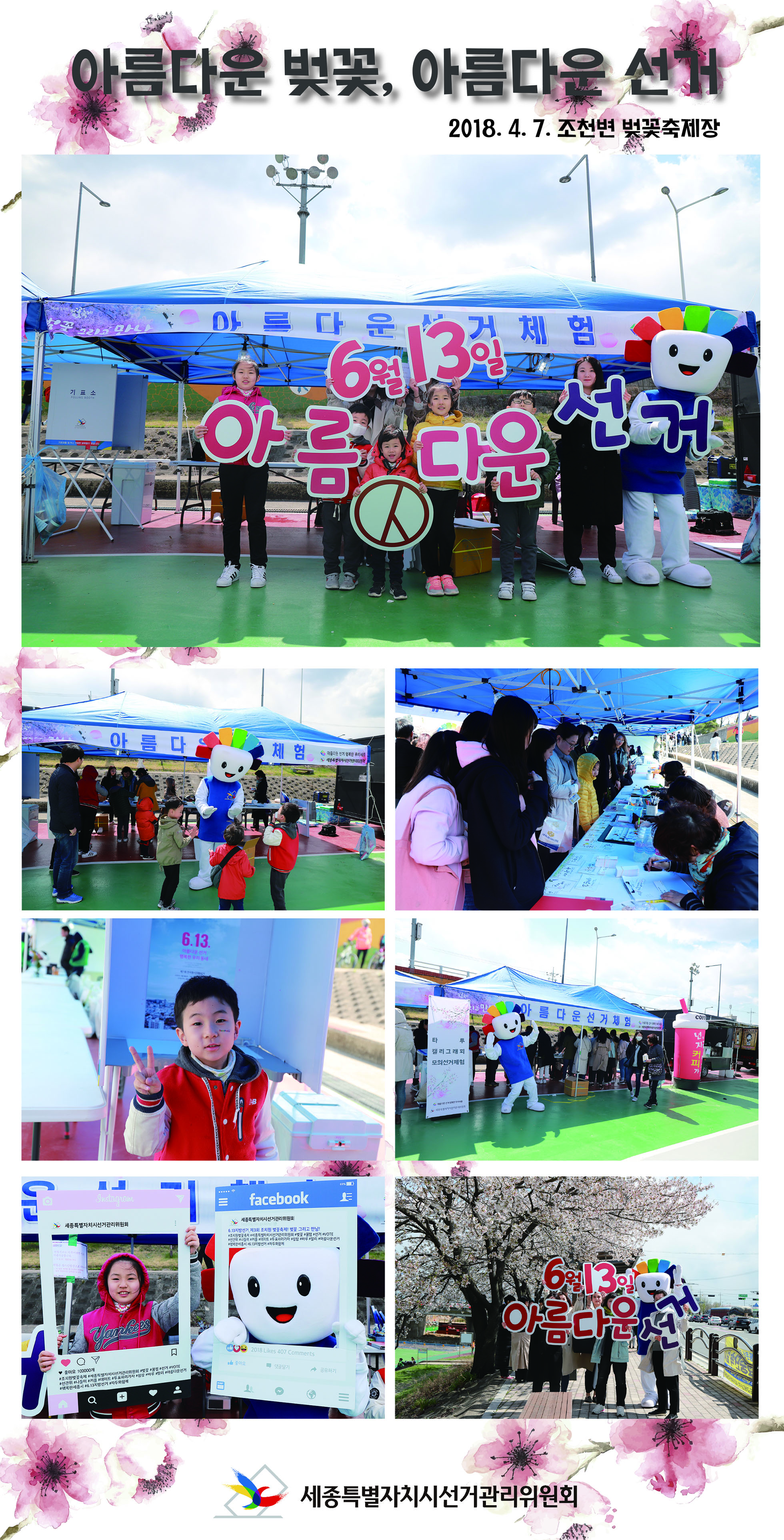 아름다운 벚꽃, 아름다운 선거. 2018년 4월 7일 조천변 벚꽃축제장