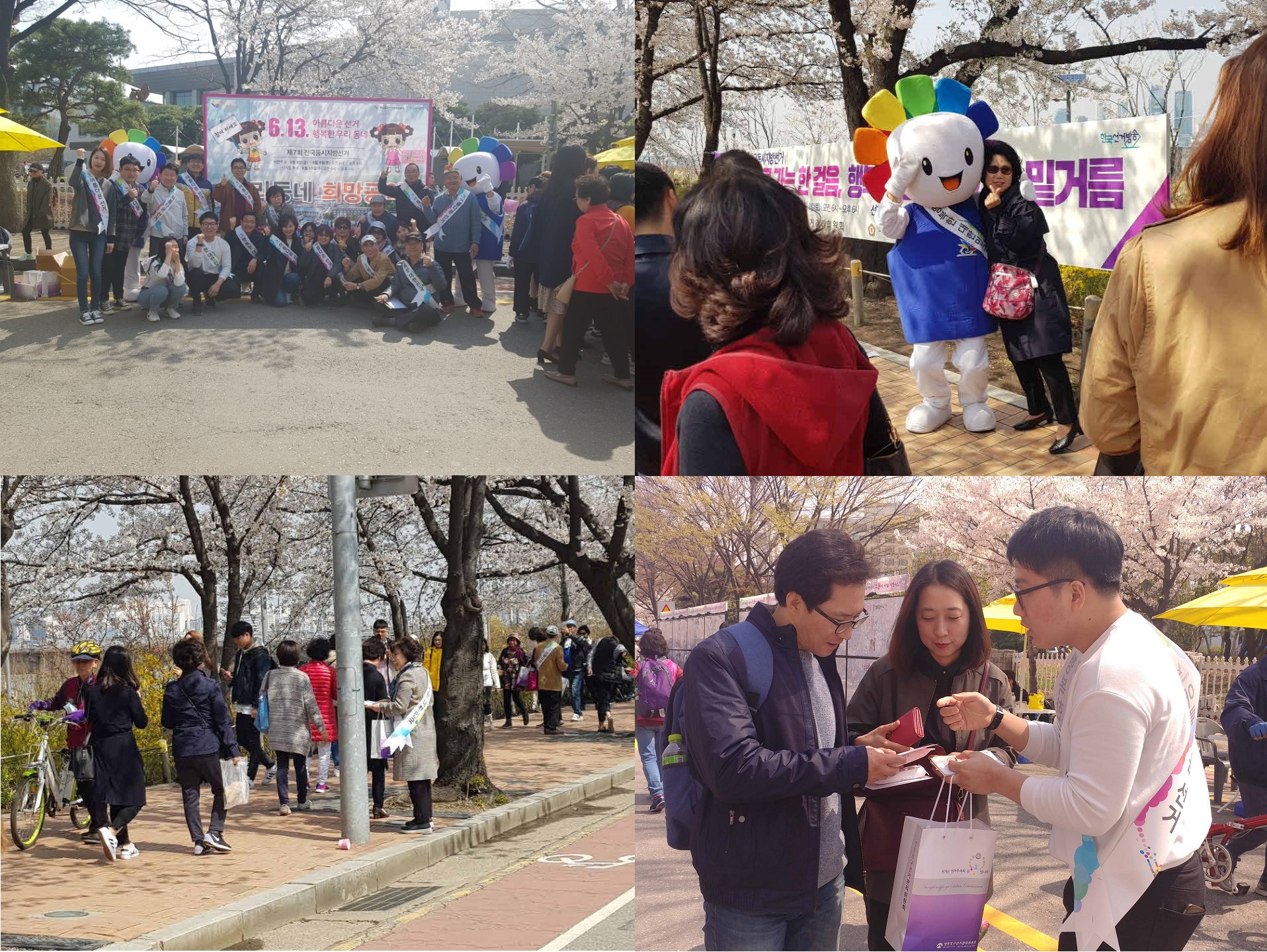 여의도 봄꽃축제 연계 홍보 캠페인