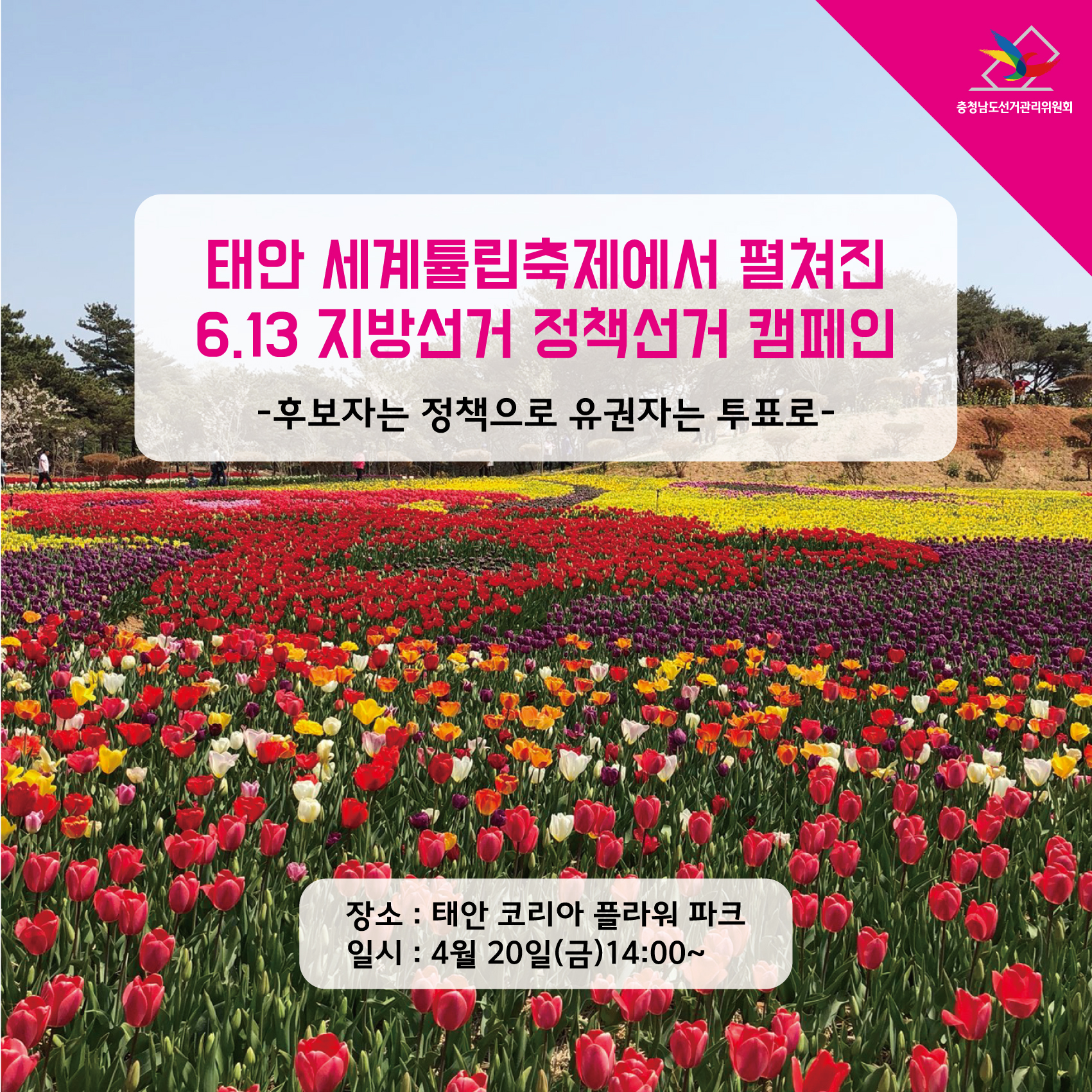 태안 세계튤립축제에서 펼쳐진 6.13 지방선거 정책선거 캠페인 후보자는 정책으로 유권자는 투표로 장소:태안 코리아 플라워 파크 / 일시:4월20일(금) 14:00~