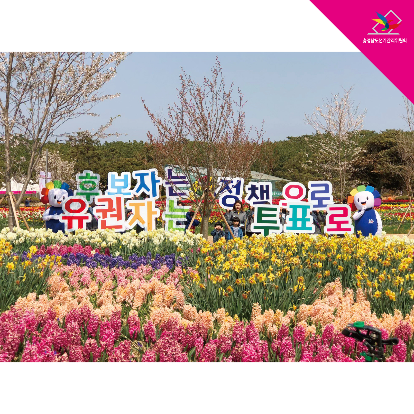 후보자는 정책으로 유권자는 투표로