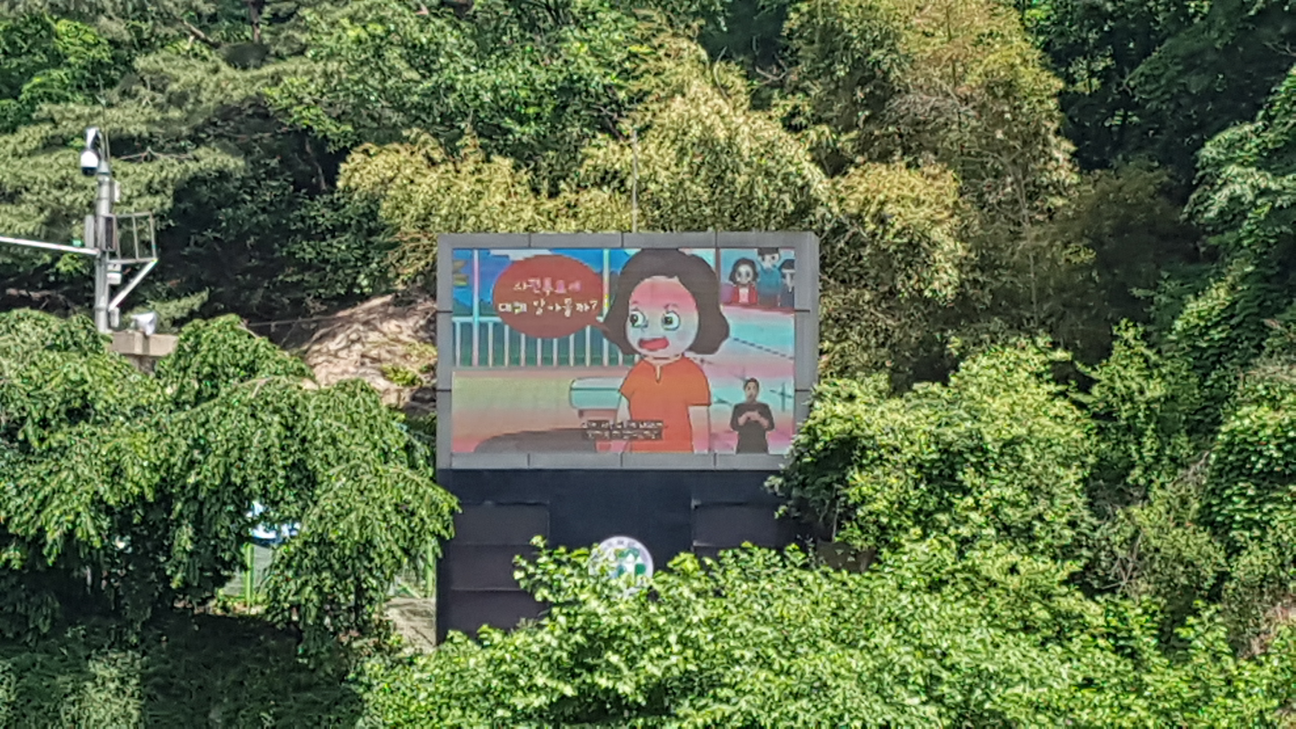 애니메이션 영상물