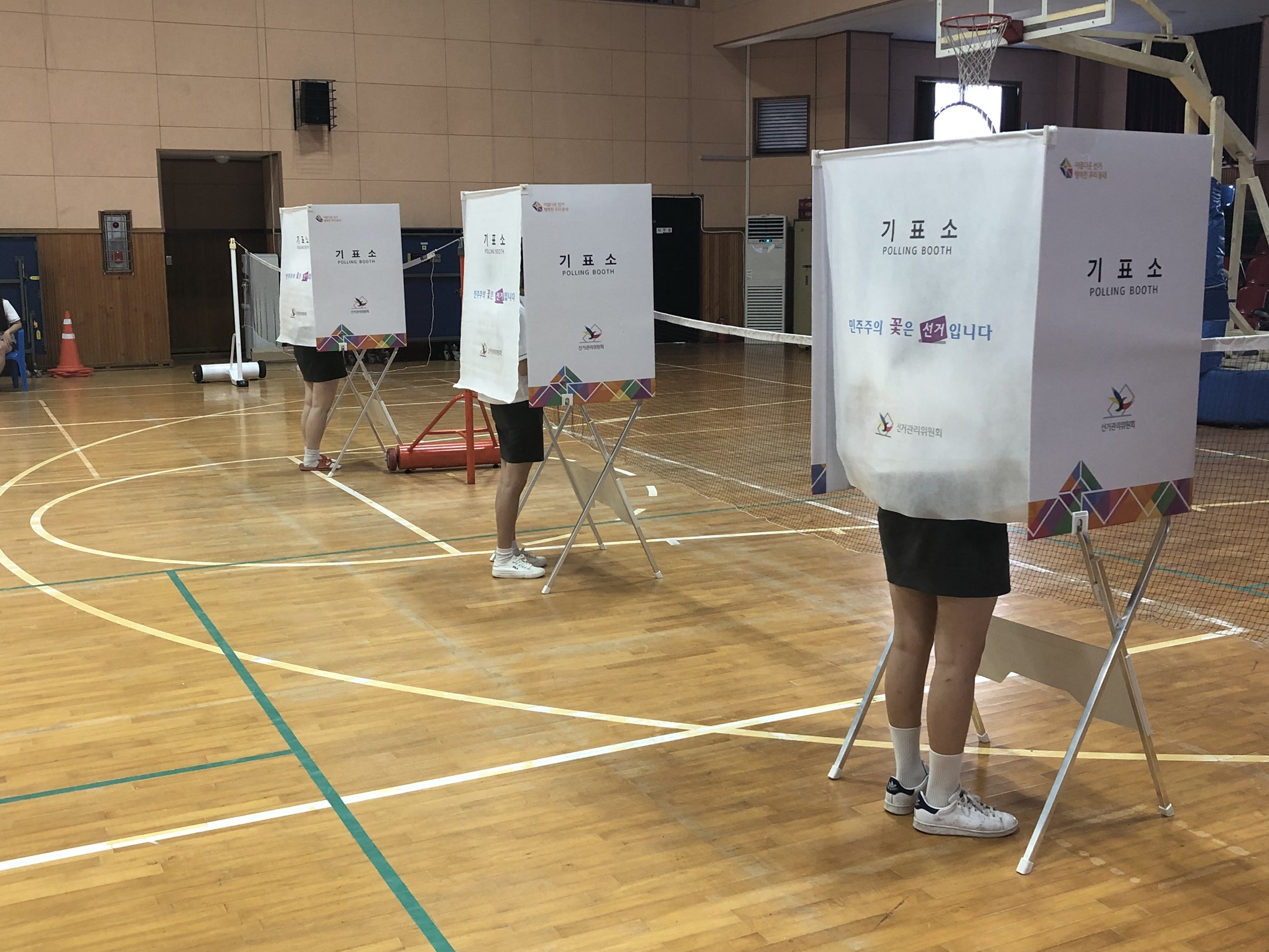 투표1