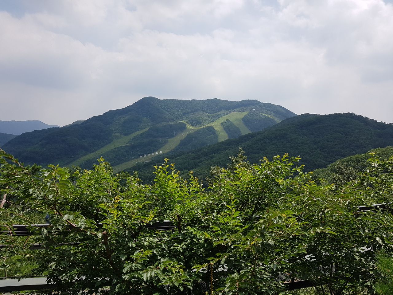 풍경1