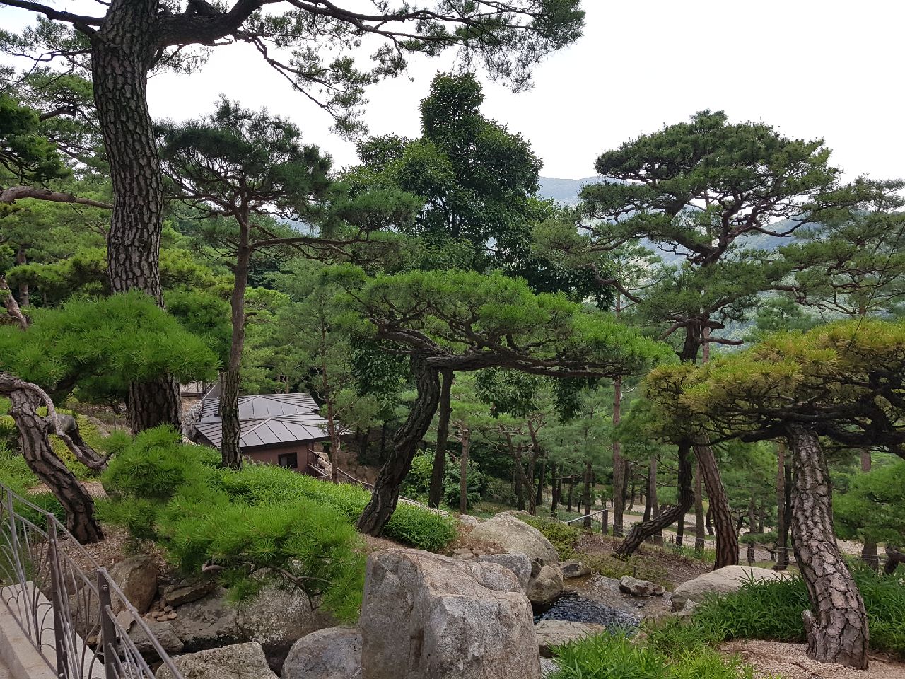 풍경4