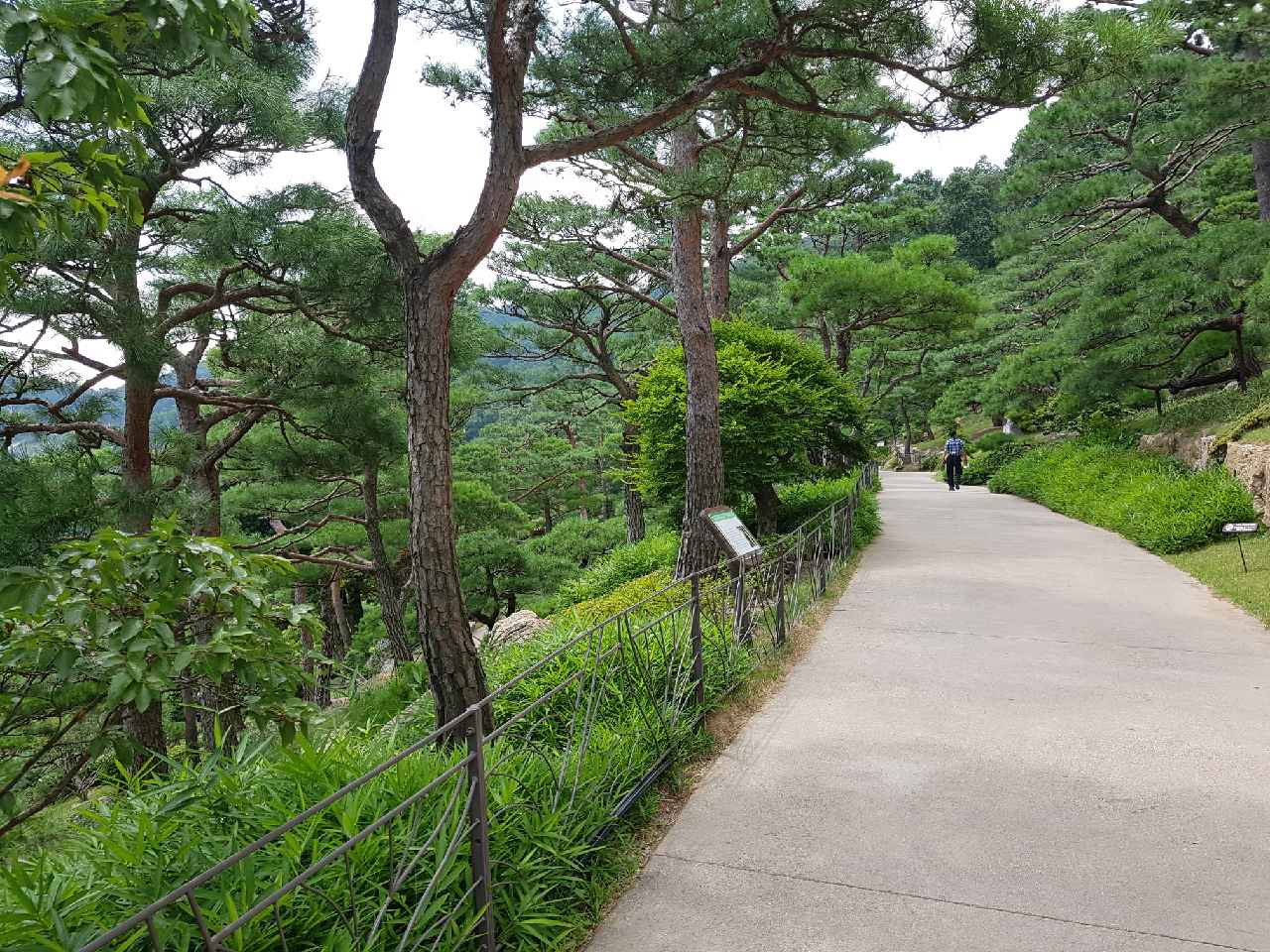 풍경5