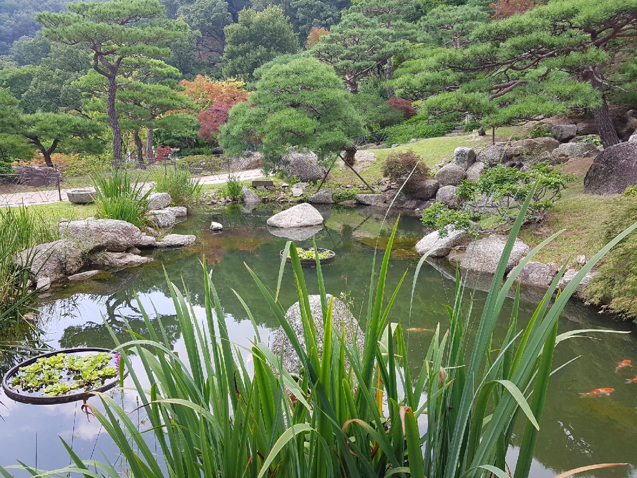 풍경6