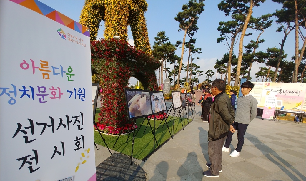 국화축제 캠페인