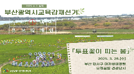 부산광역시교육감재선거 「투표꽃이 피는 봄」 투표참여 홍보 캠페인 썸네일